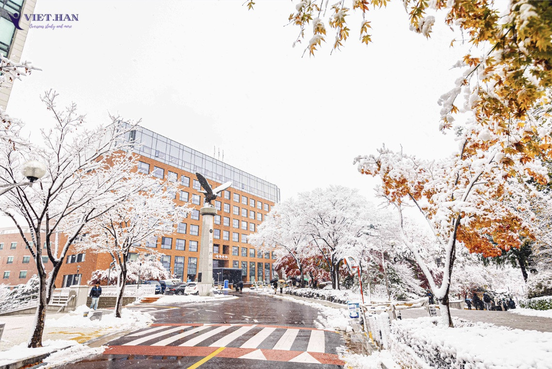 Trường Đại Học Seoul Sirip Hàn Quốc – 서울시립대학교