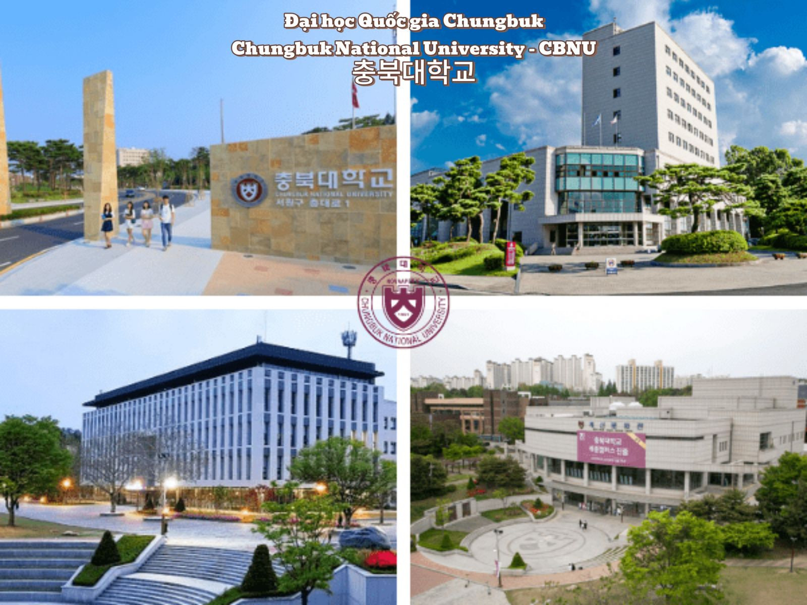 Top 5 trường Đại học Hàn Quốc có học phí rẻ nhất năm 2025