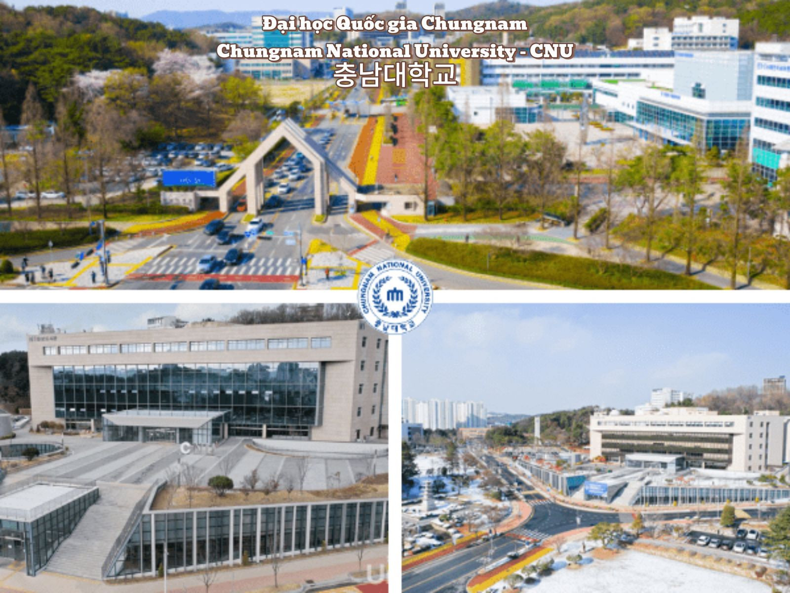 Top 5 trường Đại học Hàn Quốc có học phí rẻ nhất năm 2025