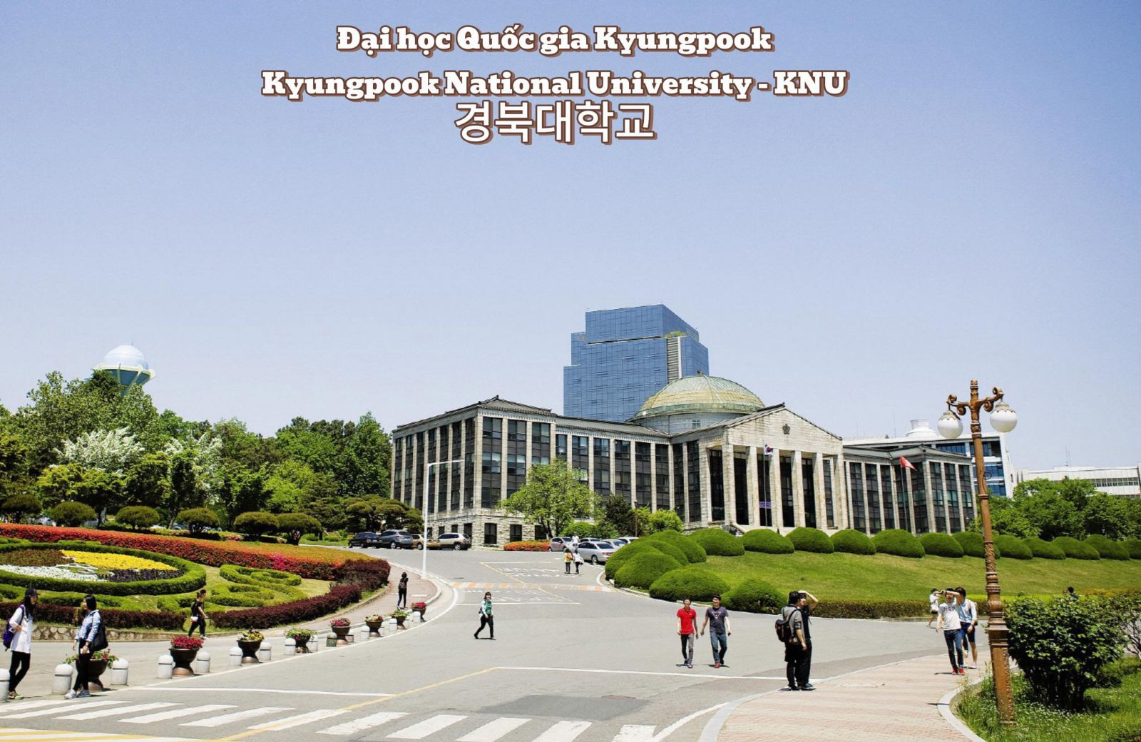 Top 5 trường Đại học Hàn Quốc có học phí rẻ nhất năm 2025