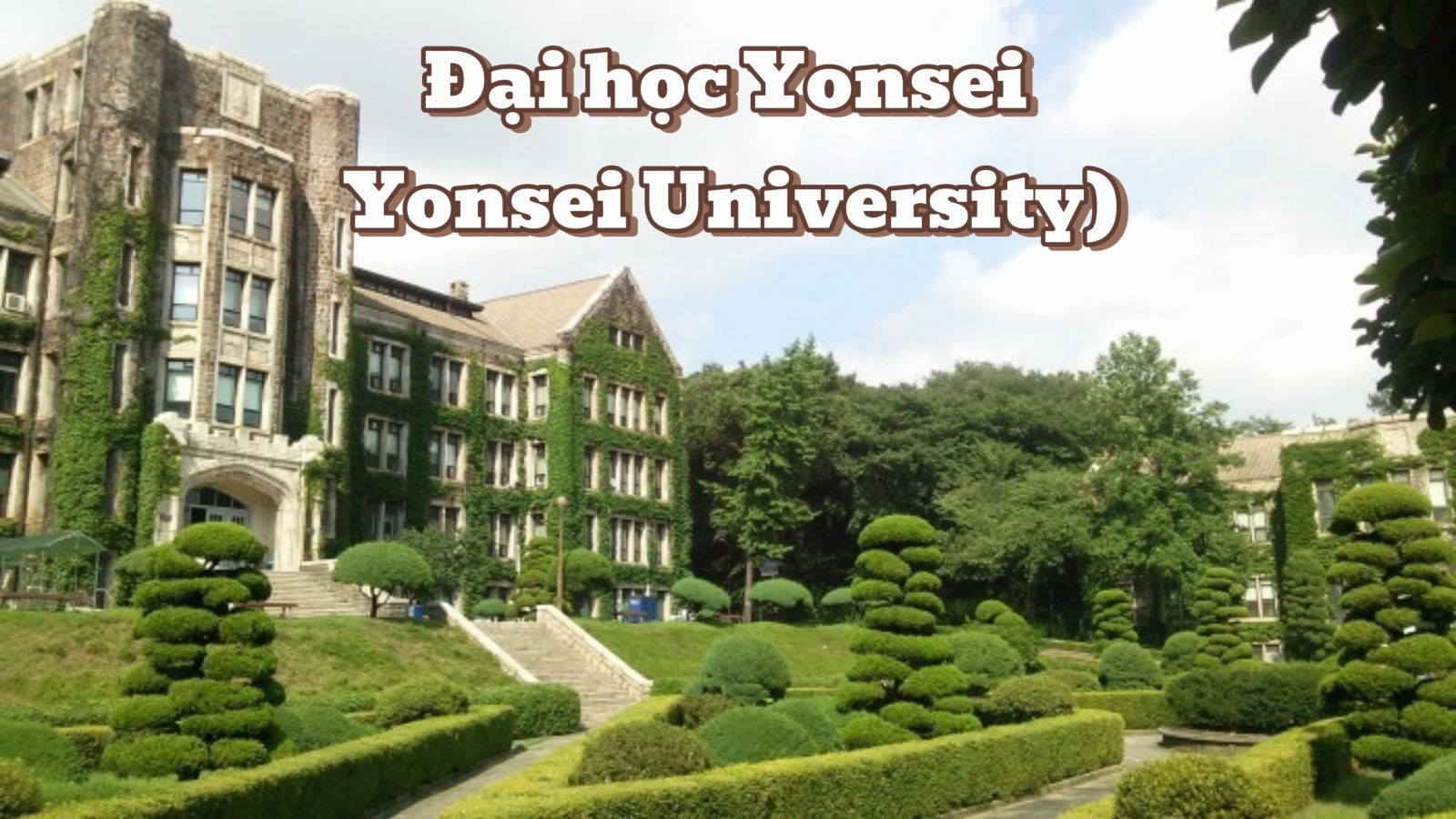 Du Học Hàn Quốc Tháng 6 Năm 2025