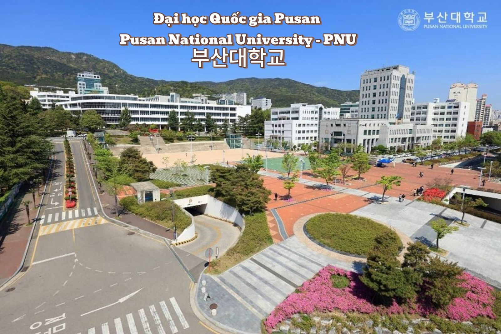 Top 5 trường Đại học Hàn Quốc có học phí rẻ nhất năm 2025