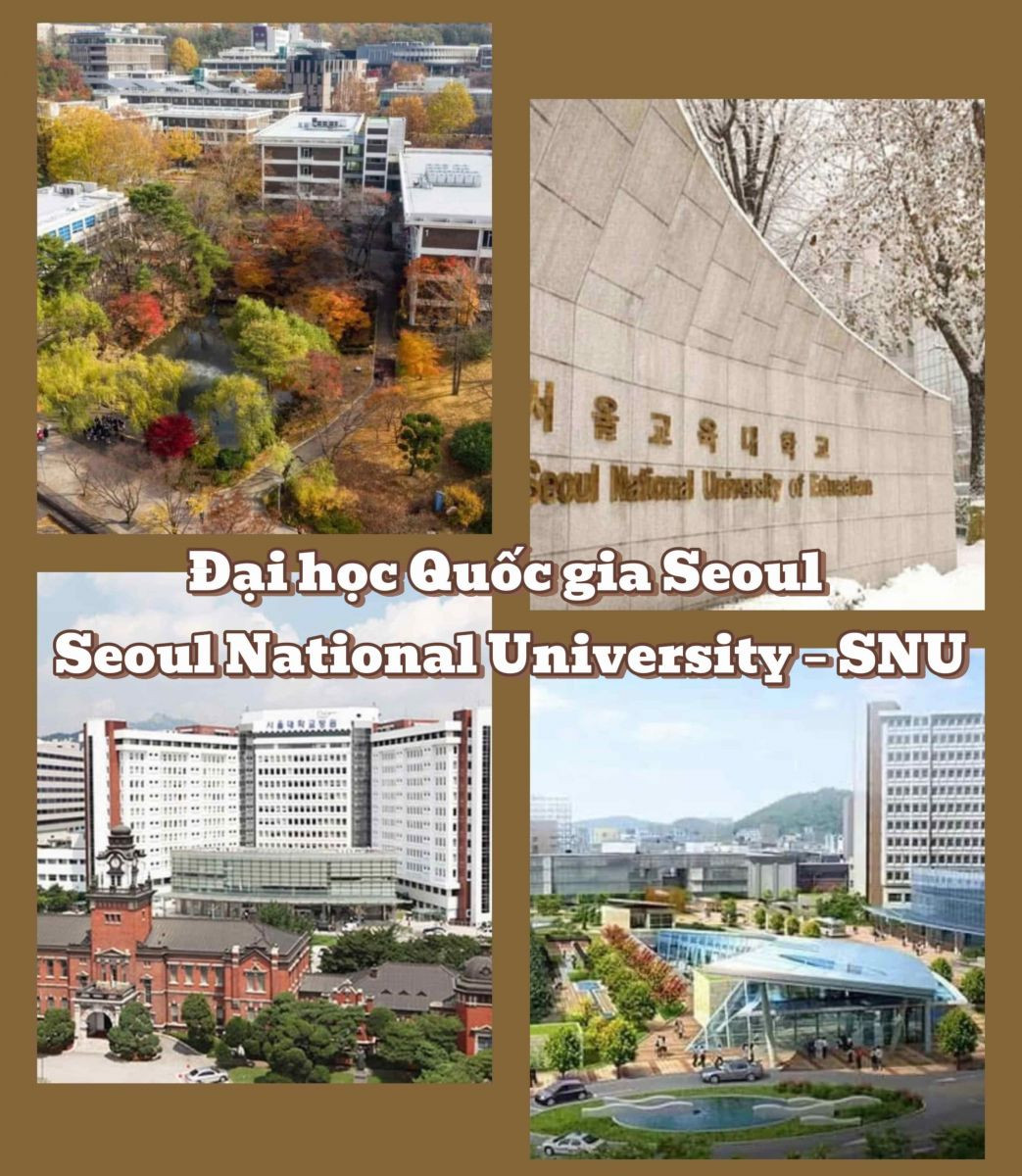 Du Học Hàn Quốc Tháng 6 Năm 2025