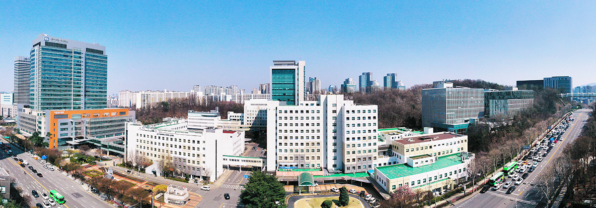 Trường Đại học Catholic Hàn Quốc – 가톨릭대학교