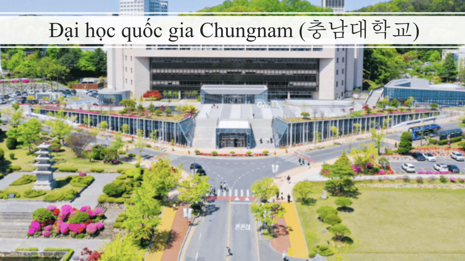 Du Học Hàn Quốc 2025 Cơ Hội Cho Sinh Viên Bà Rịa Vũng Tàu