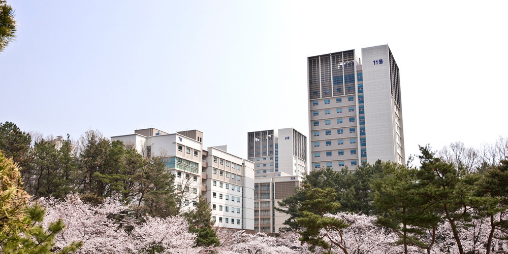 Trường Đại Học Quốc Gia Chungnam Hàn Quốc - 충남대학교