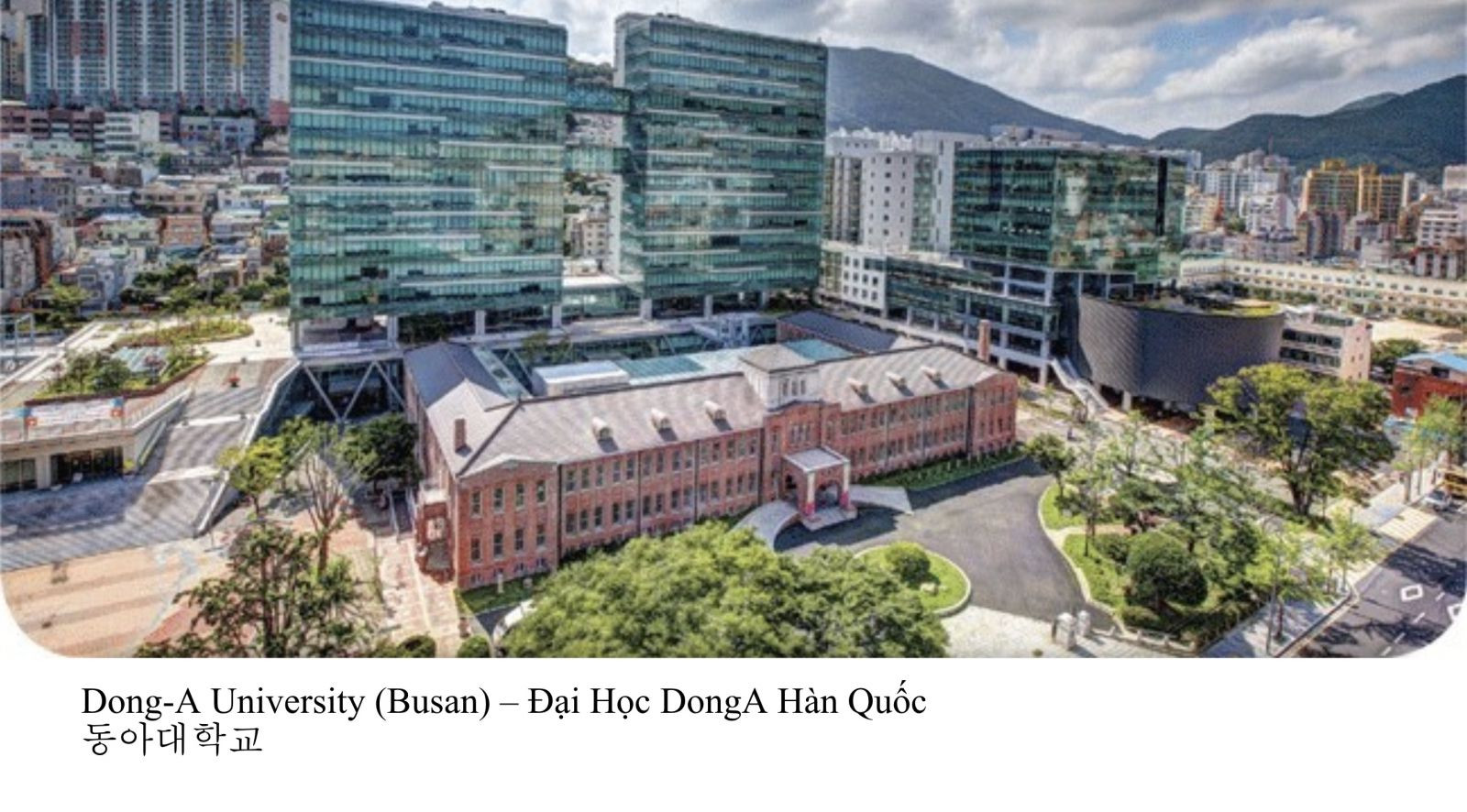 Du Học Hàn Quốc 2025 Cơ Hội Cho Sinh Viên Bà Rịa Vũng Tàu