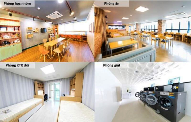 Trường Đại học Quốc gia Gangneung Wonju – 강릉원주대학교