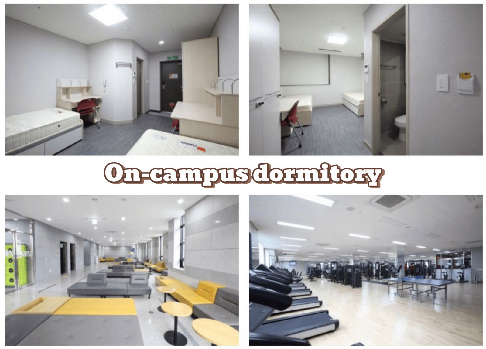 Trường Đại Học Ngoại Ngữ Busan Tuyển Sinh Tháng 6 Năm 2025