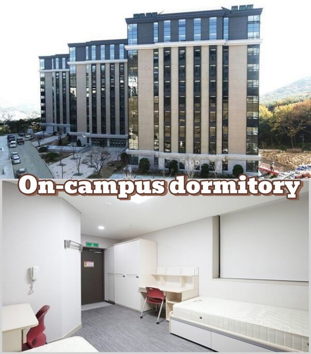 Trường Đại Học Ngoại Ngữ Busan Tuyển Sinh Tháng 6 Năm 2025