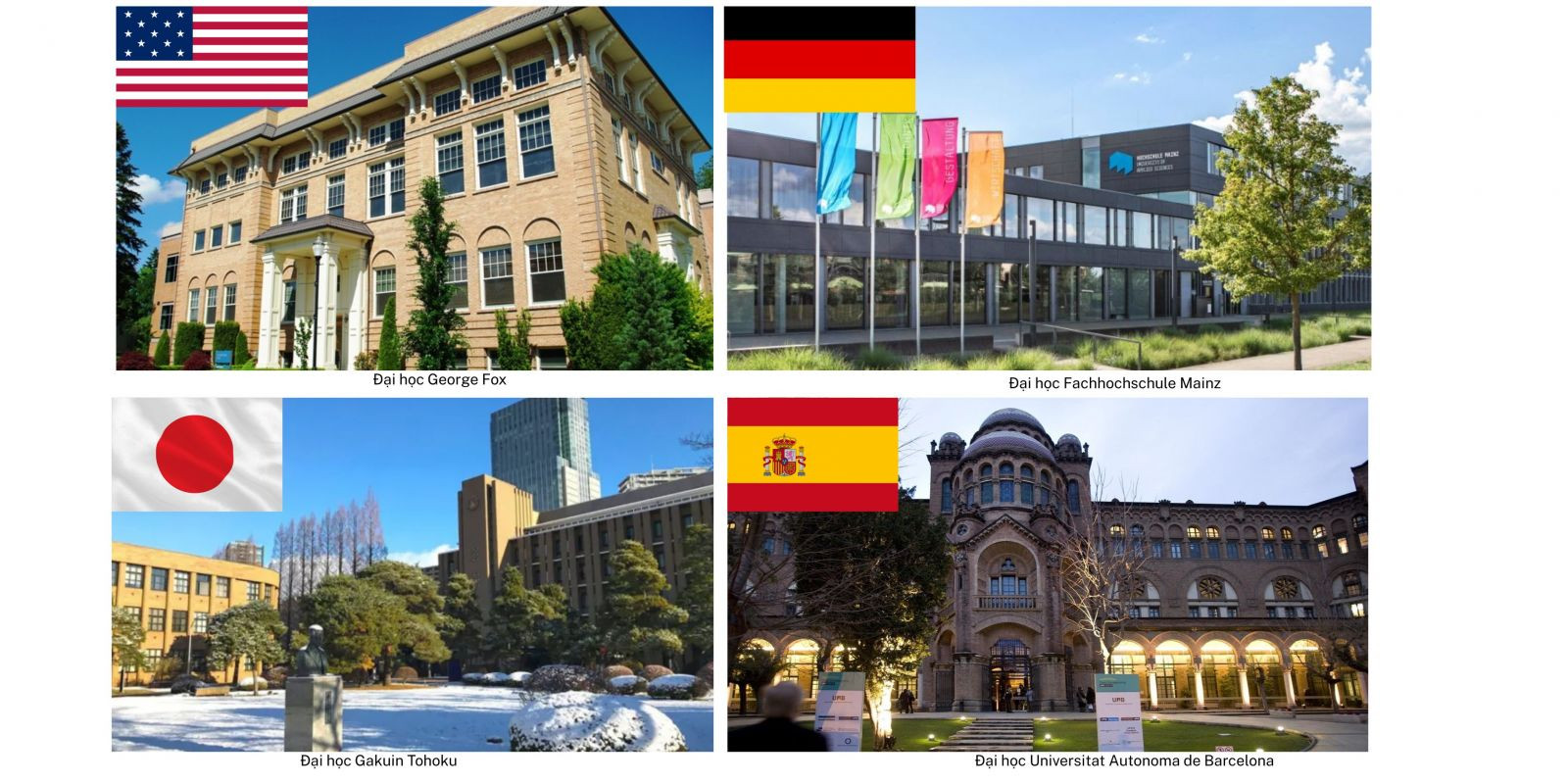 Trường Đại Học Pyeongtaek Hàn Quốc - 평택대학교