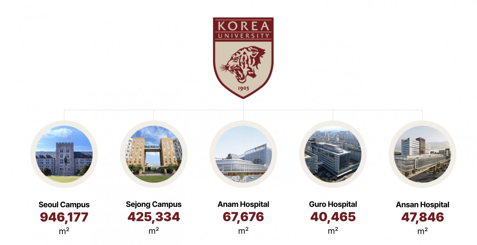 Du Học Hàn Quốc Tháng 6 Năm 2025