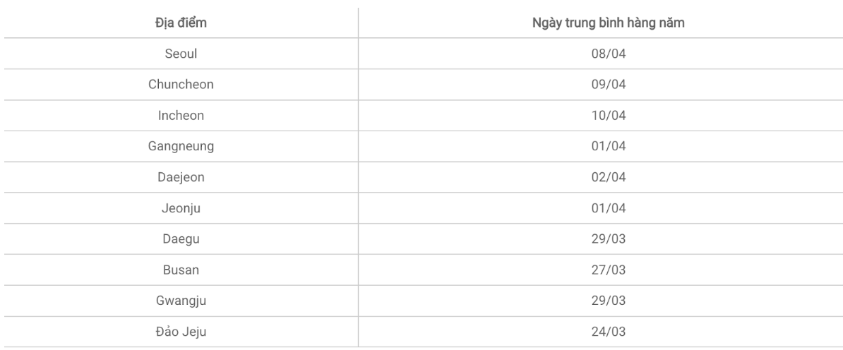 Du Học Hàn Quốc Mùa Xuân năm 2025: Ưu Điểm, Thời Điểm Lý Tưởng và Lịch Ngắm Hoa Anh Đào