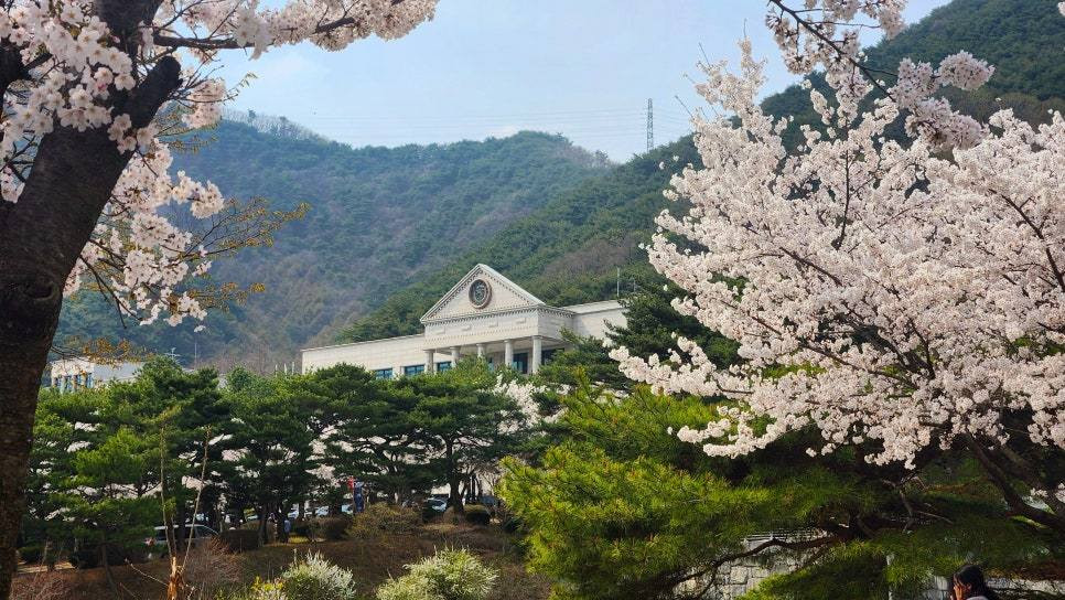 Trường Đại học Semyung Hàn Quốc – 세명대학교