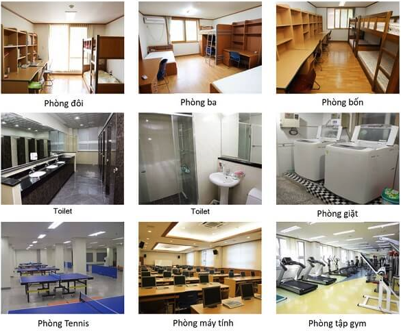 Trường Đại học Keimyung Hàn Quốc – 계명대학교