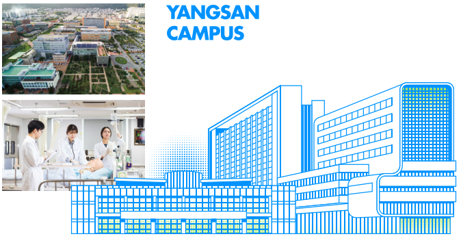 Trường Đại học Quốc gia Pusan Hàn Quốc - 부산대학교
