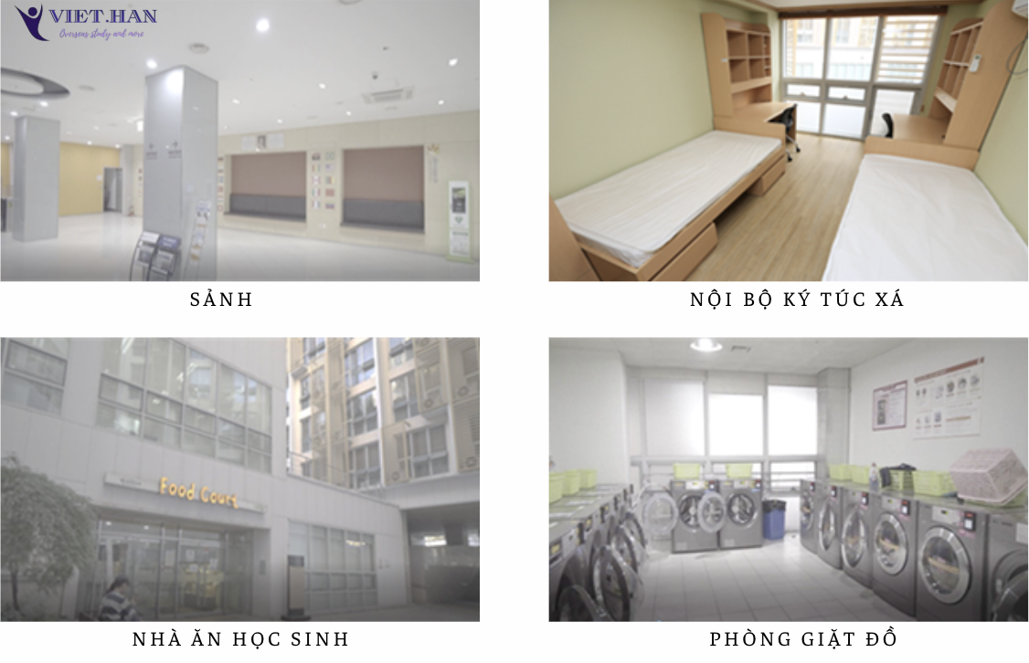 Trường Đại học Dongguk Hàn Quốc – 동국대학교