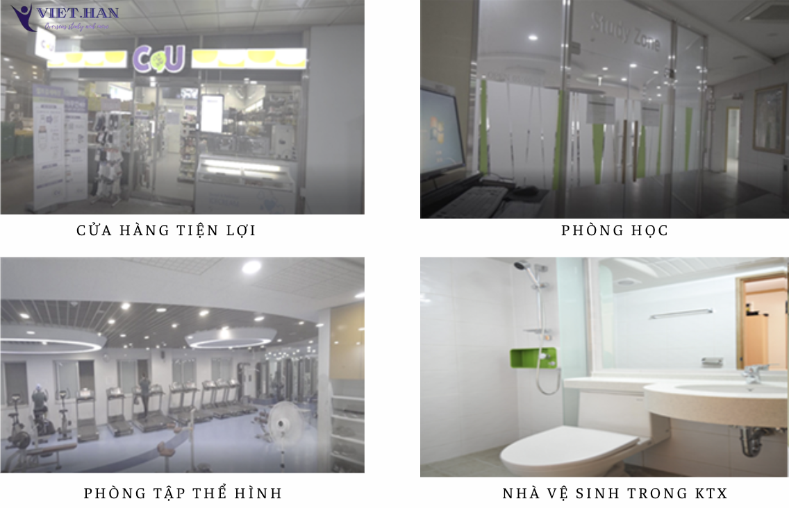 Trường Đại học Dongguk Hàn Quốc – 동국대학교