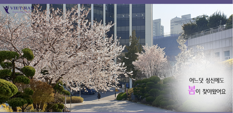 Trường Đại học nữ Sungshin Hàn Quốc – 성신여자대학교