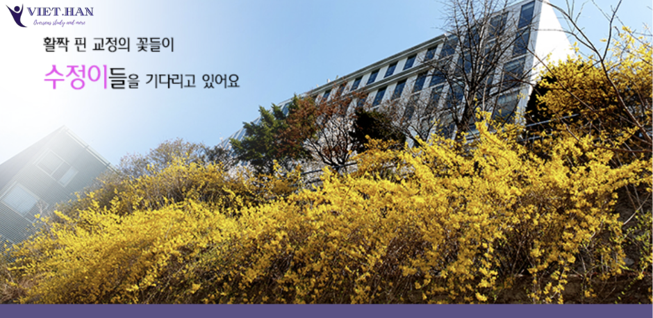 Trường Đại học nữ Sungshin Hàn Quốc – 성신여자대학교