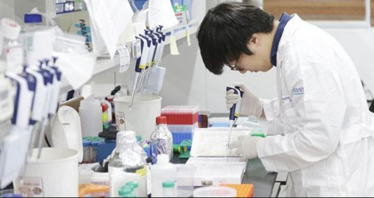 Học cao học ở Hàn Quốc sẽ như thế nào?