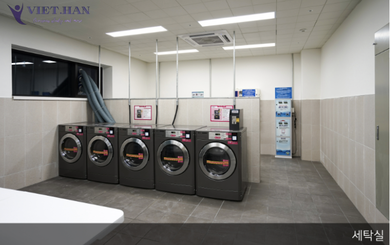 Trường Đại học nữ Ewha Hàn Quốc – 이화여자대학교