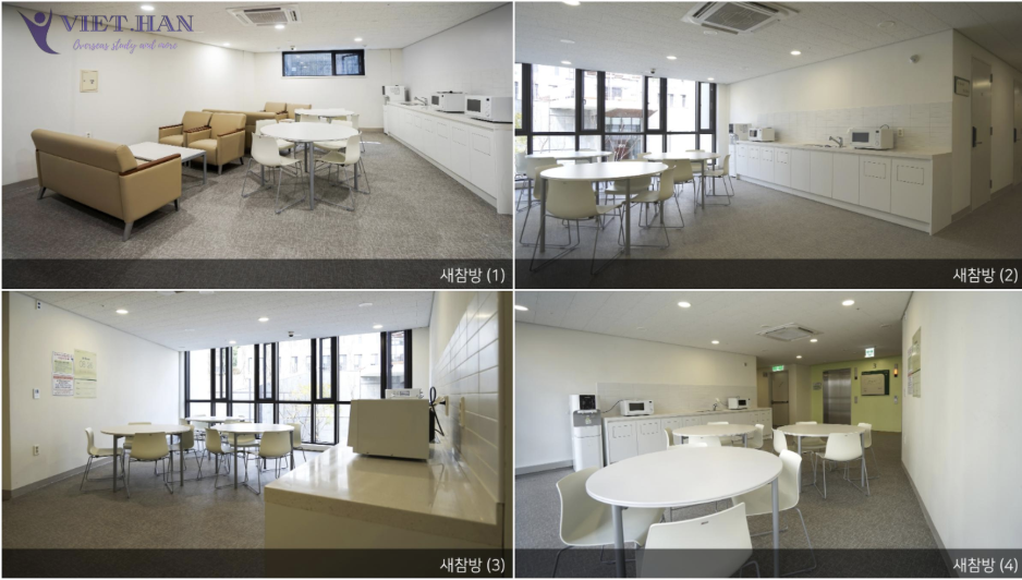 Trường Đại học nữ Ewha Hàn Quốc – 이화여자대학교