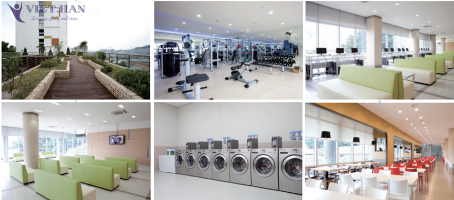 Trường Đại học Chung-Ang Hàn Quốc – 중앙대학교