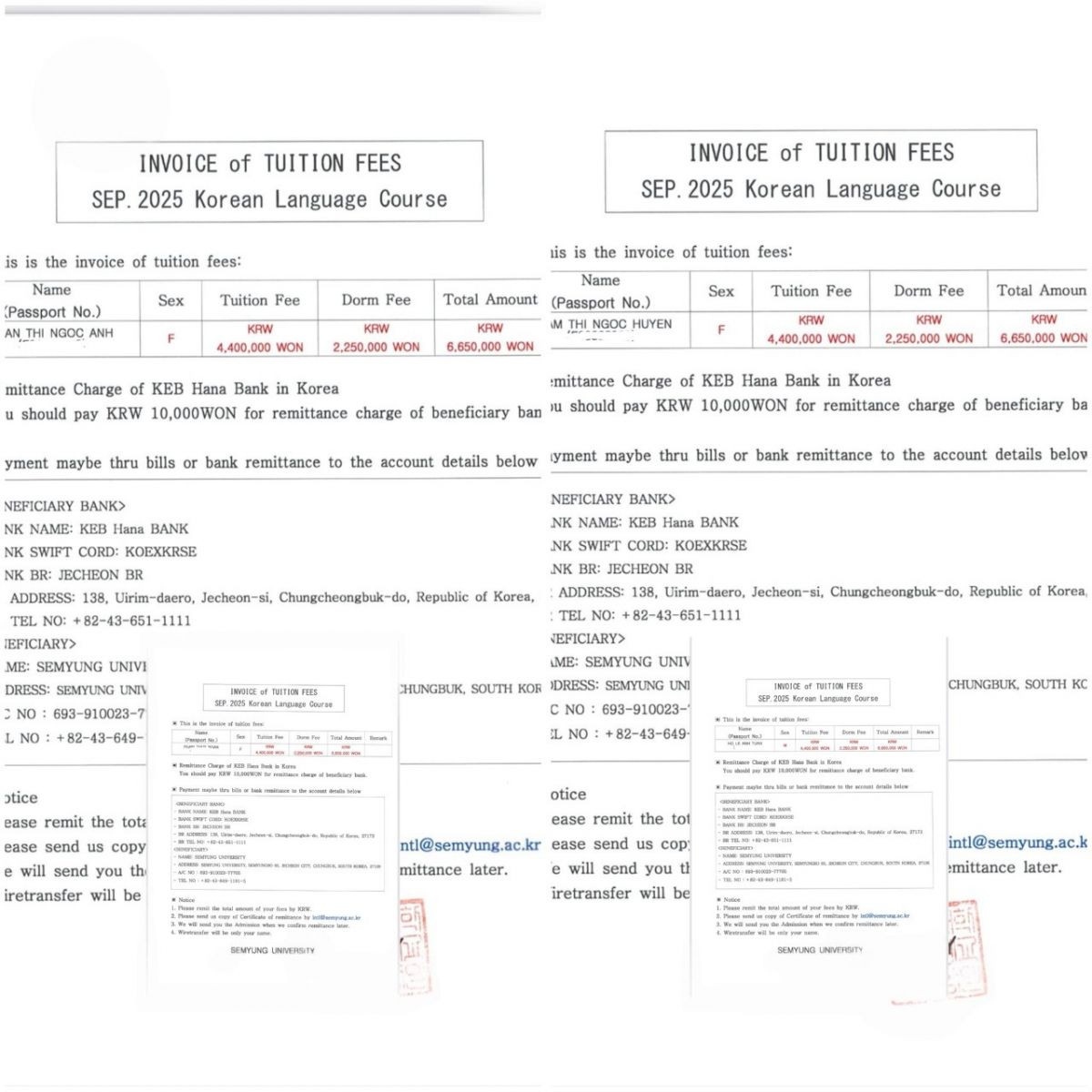 Trường Đại học Semyung Hàn Quốc – 세명대학교