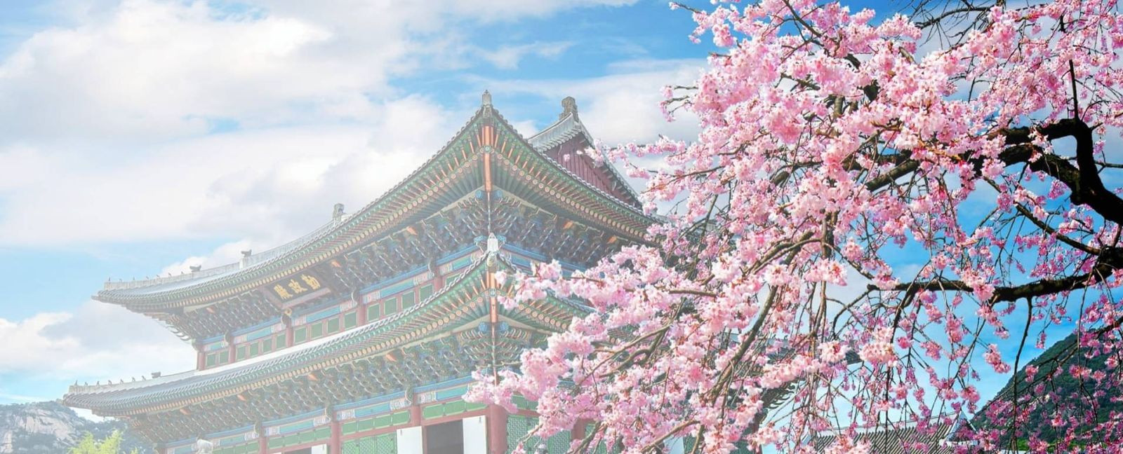 Trung tâm du học Hàn Quốc tại TPHCM