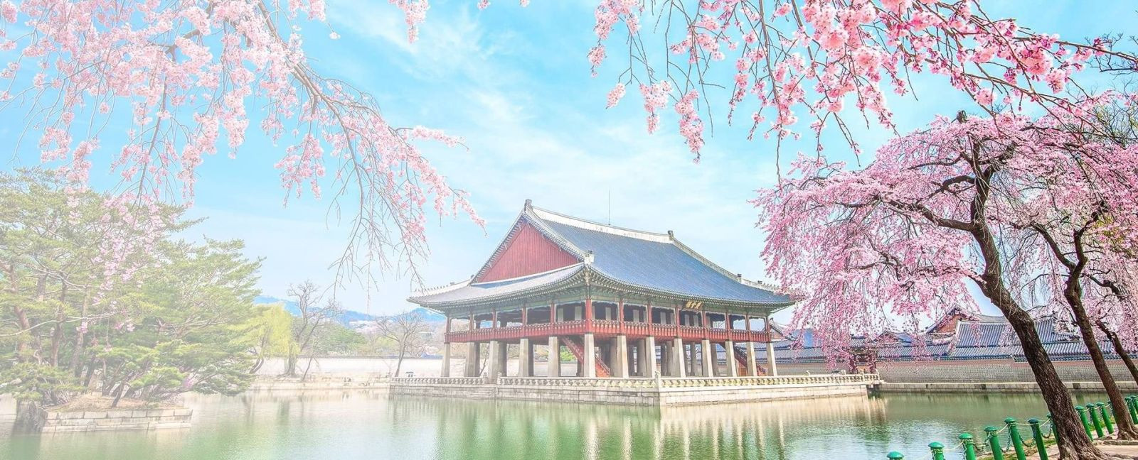 Trung tâm tư vấn du học uy tín tại TPHCM