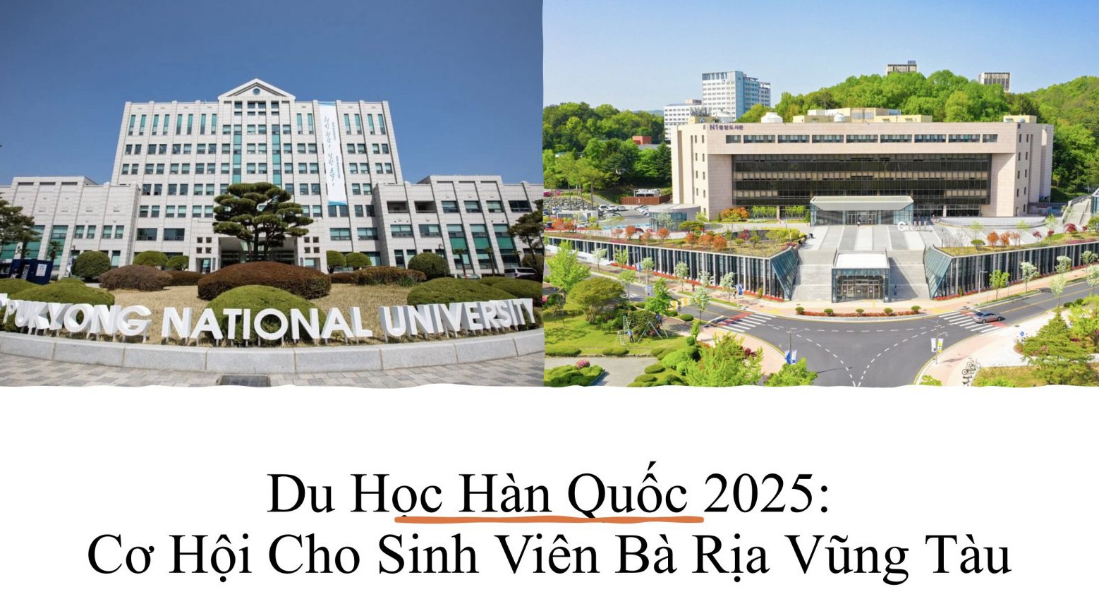 Du Học Hàn Quốc 2025 Cơ Hội Cho Sinh Viên Bà Rịa Vũng Tàu
