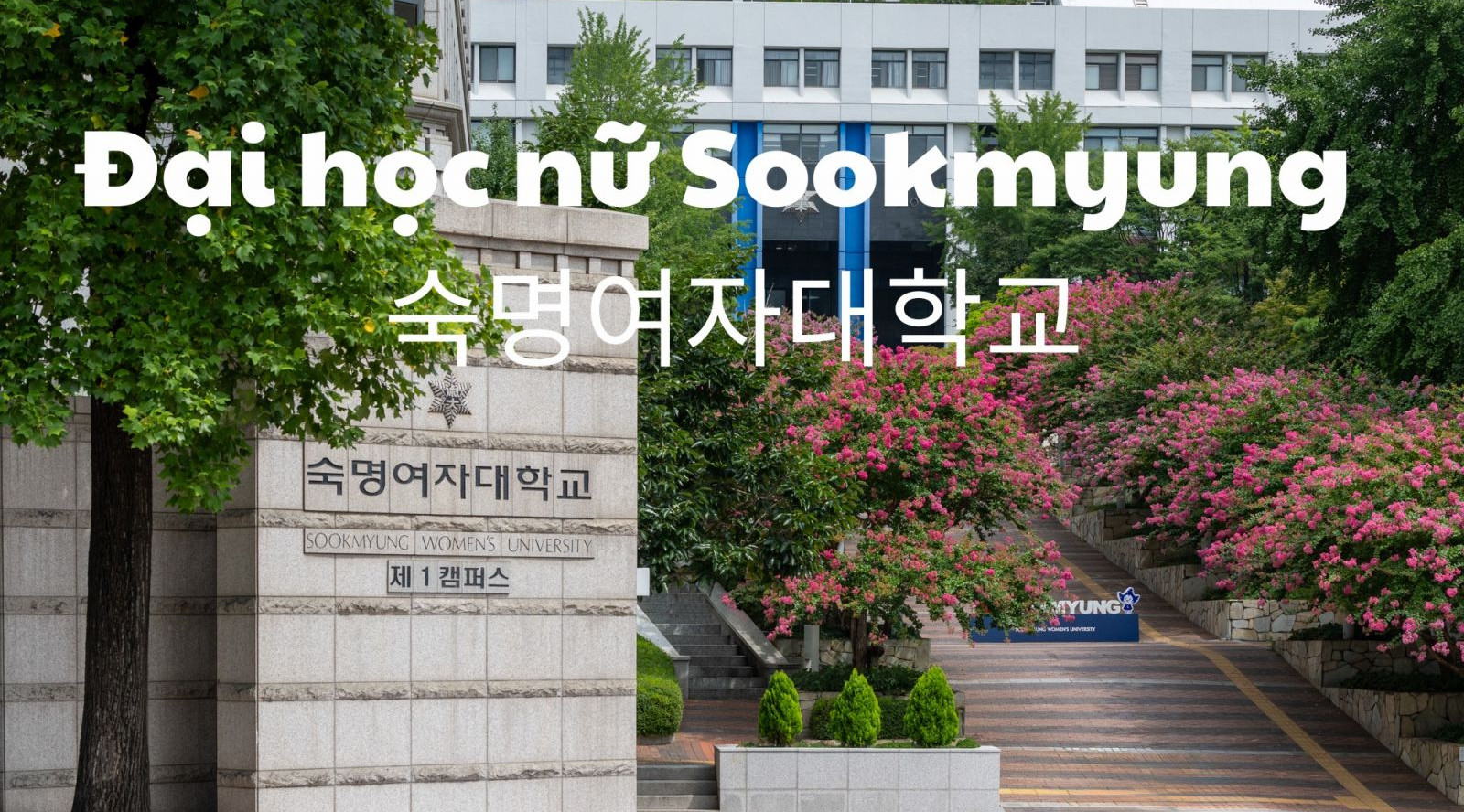 Trường Đại học nữ Sookmyung Hàn Quốc – 숙명여자대학교