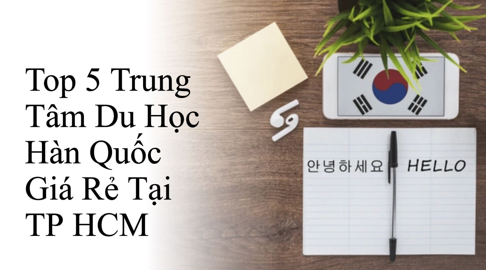 Top 5 Trung Tâm Du Học Hàn Quốc Giá Rẻ Tại TP HCM