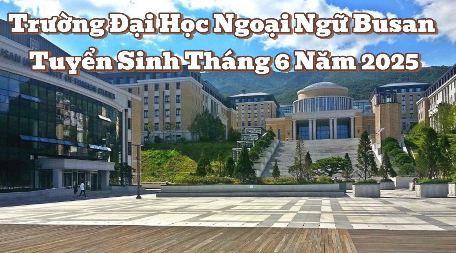 Trường Đại Học Ngoại Ngữ Busan Tuyển Sinh Tháng 6 Năm 2025
