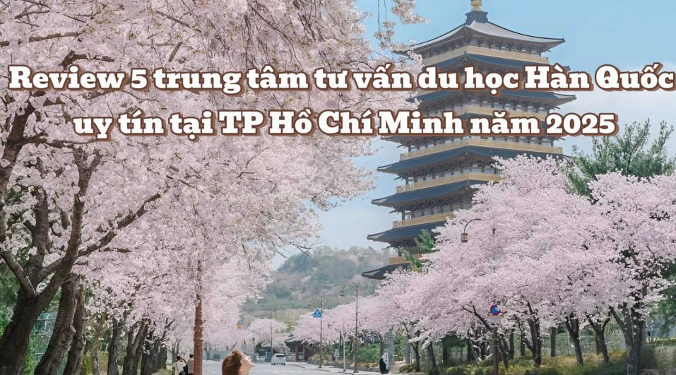 Review 5 trung tâm tư vấn du học Hàn Quốc uy tín tại TP Hồ Chí Minh năm 2025