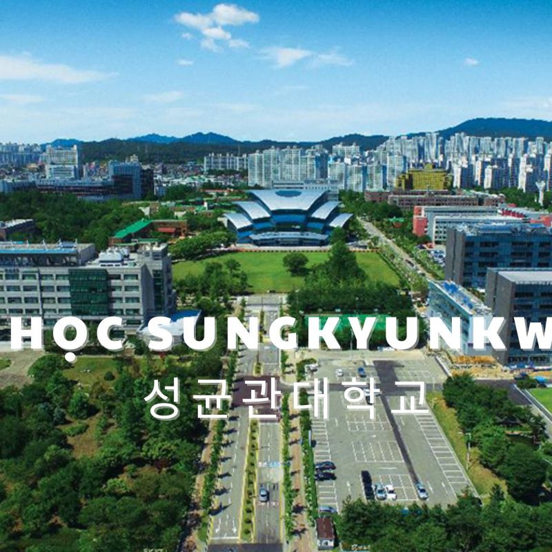 Trường Đại học Sungkyunkwan Hàn Quốc – 성균관대학교