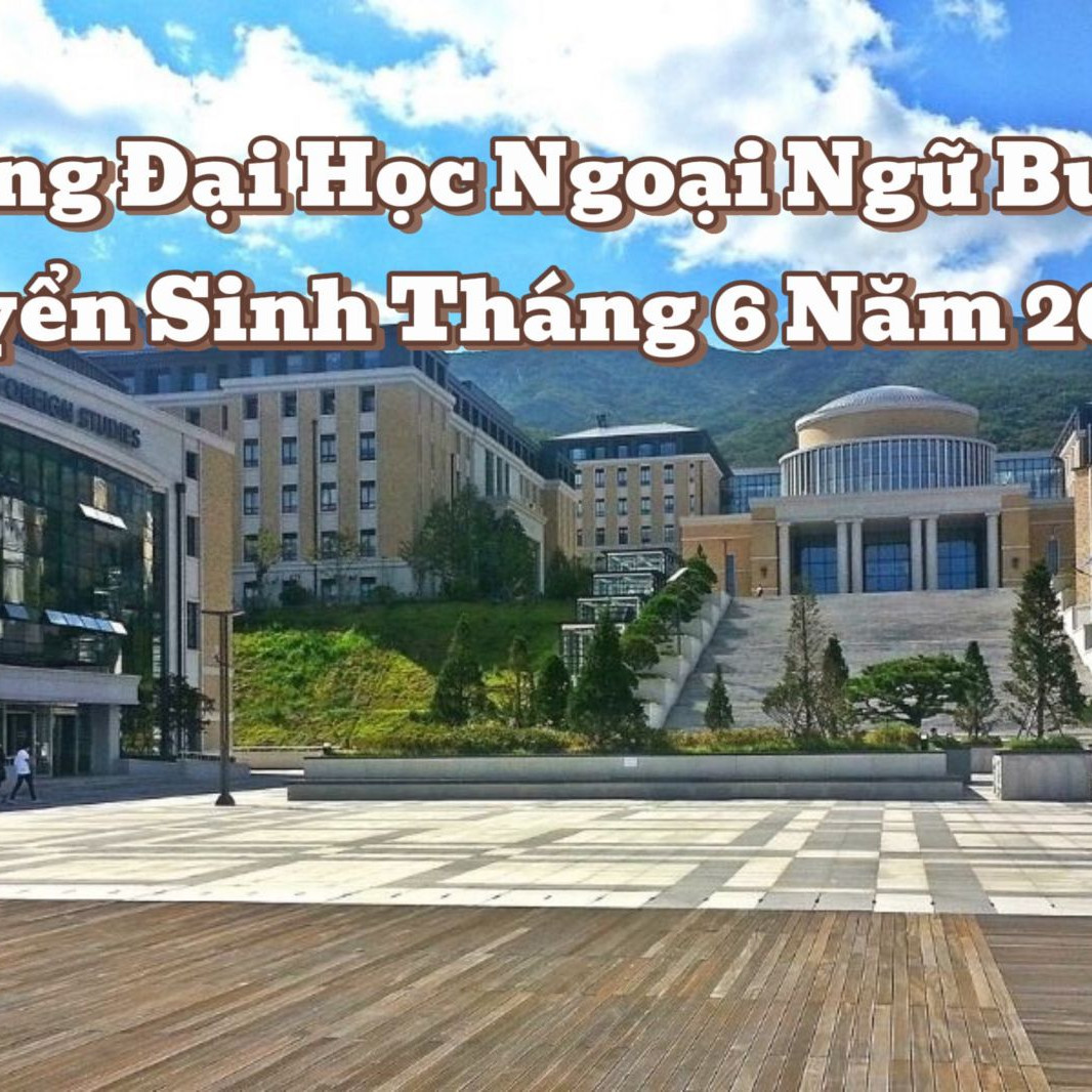 Trường Đại Học Ngoại Ngữ Busan Tuyển Sinh Tháng 6 Năm 2025