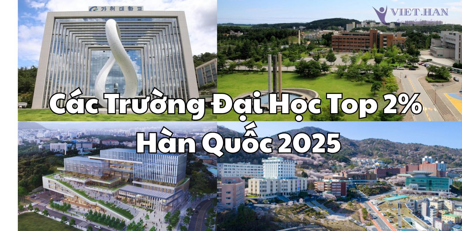 Các Trường Đại Học Top 2% Hàn Quốc 2025