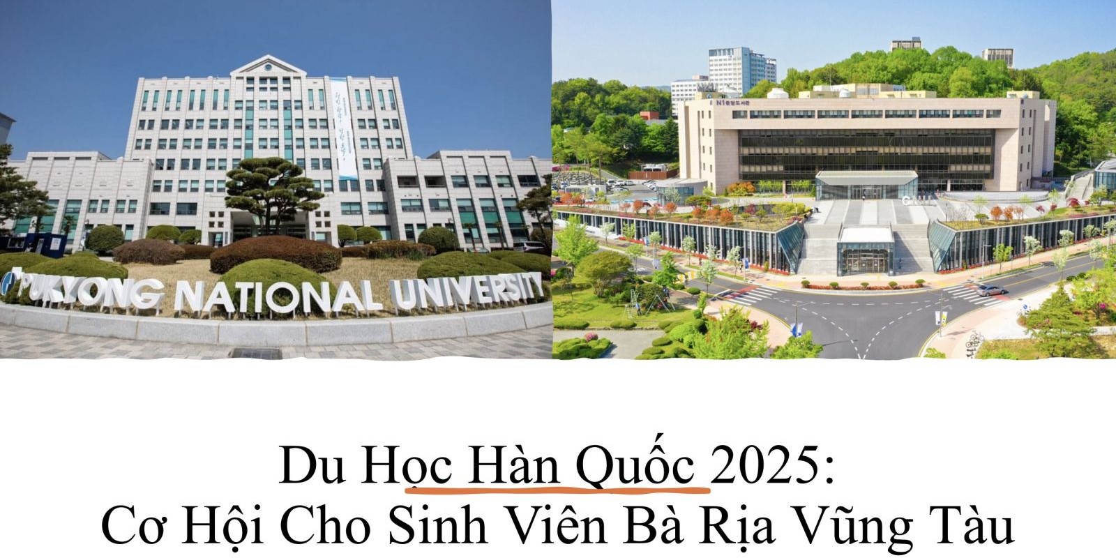 Du Học Hàn Quốc 2025 Cơ Hội Cho Sinh Viên Bà Rịa Vũng Tàu