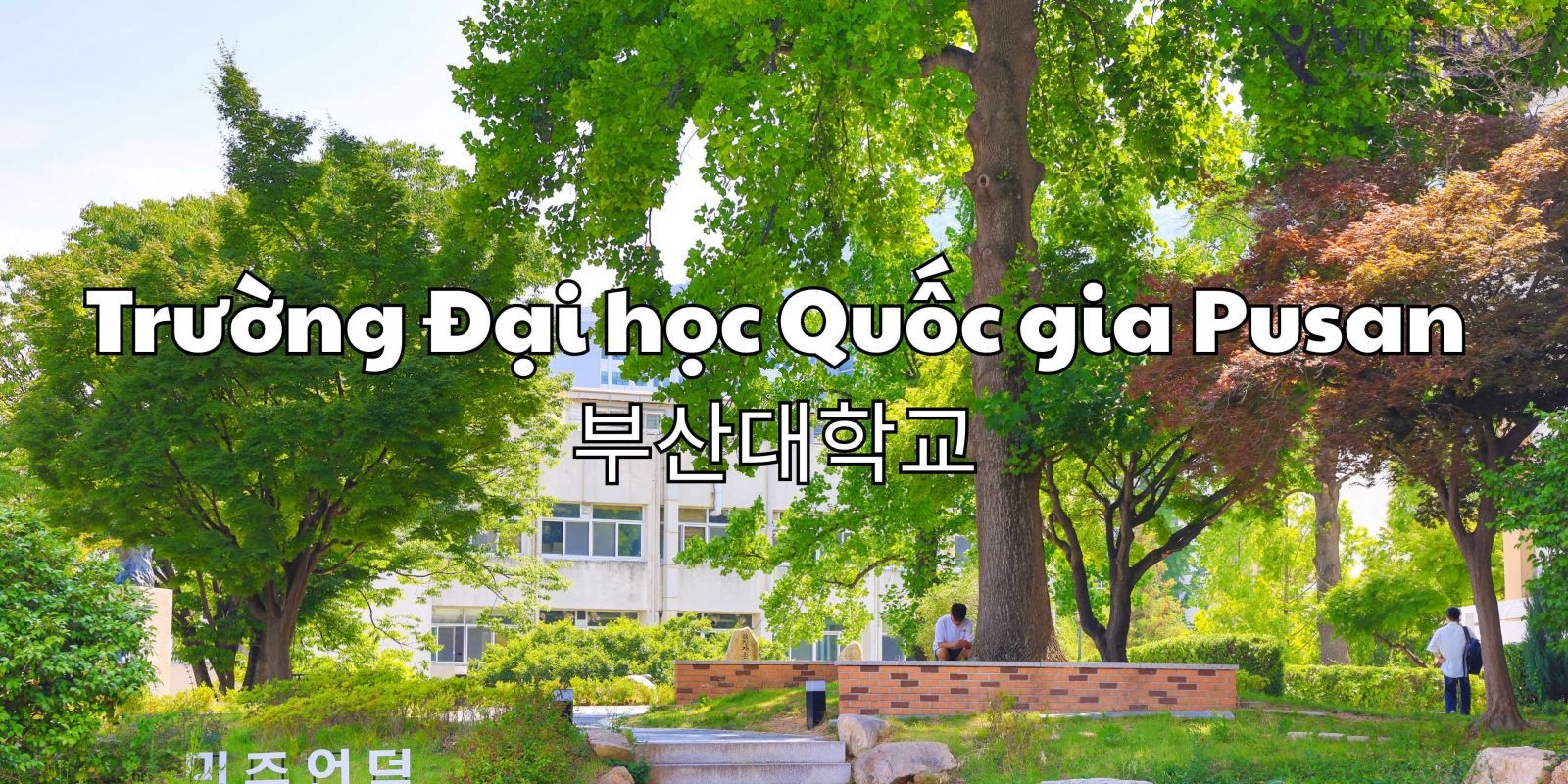 Trường Đại học Quốc gia Pusan Hàn Quốc - 부산대학교