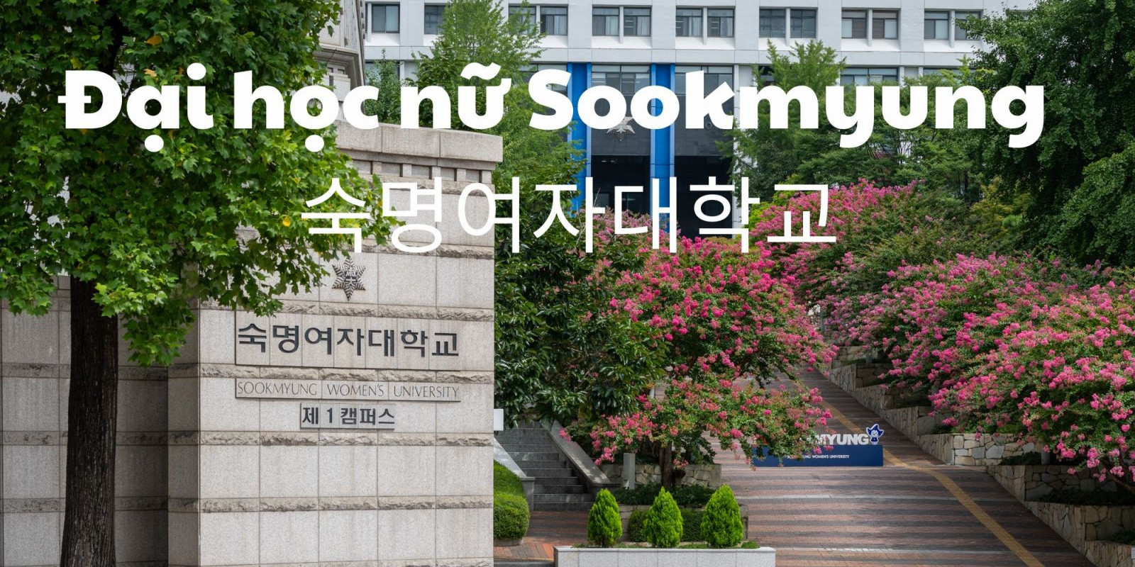 Trường Đại học nữ Sookmyung Hàn Quốc – 숙명여자대학교