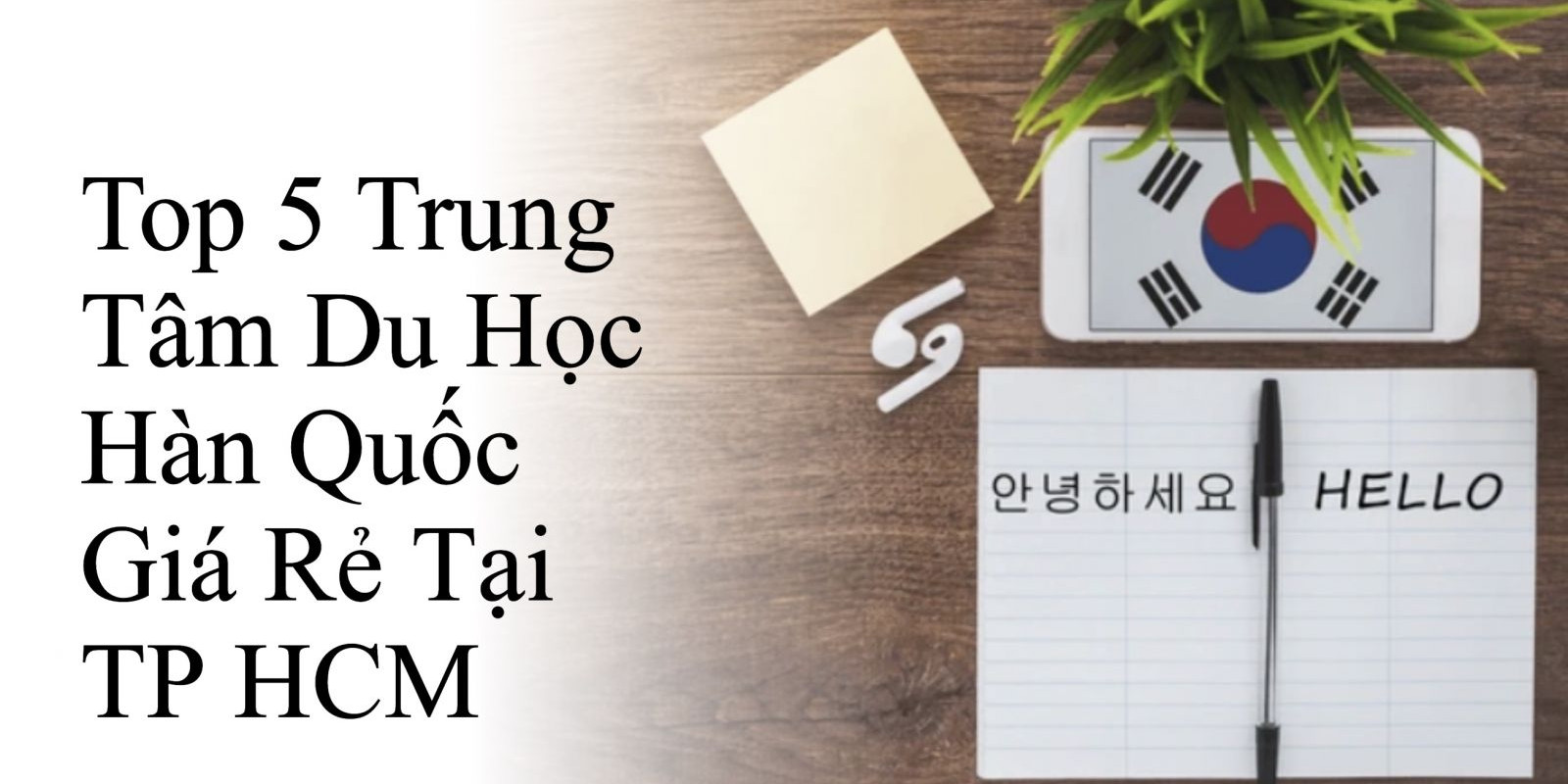 Top 5 Trung Tâm Du Học Hàn Quốc Giá Rẻ Tại TP HCM