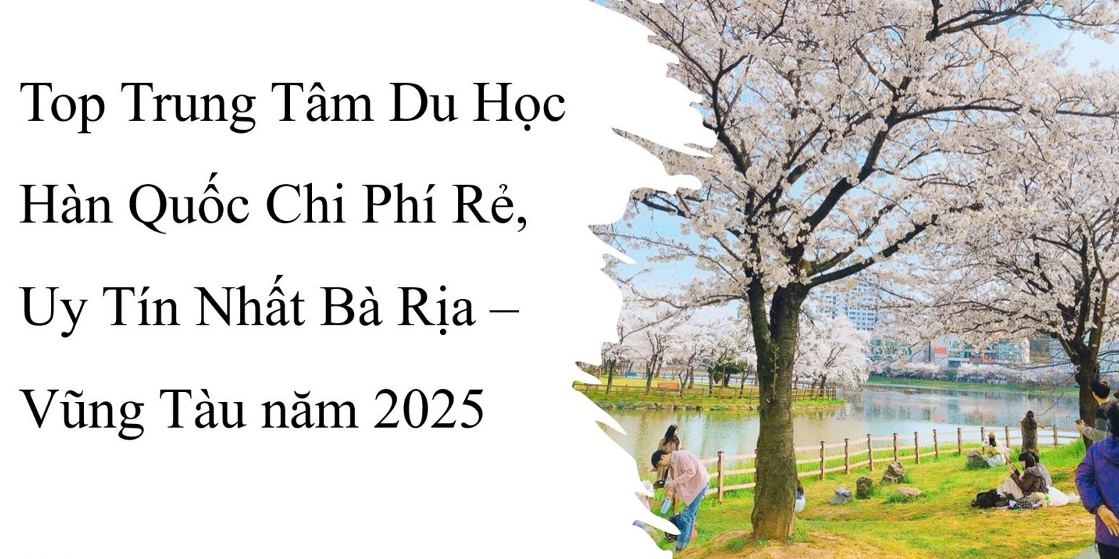 Top Trung Tâm Du Học Hàn Quốc Chi Phí Rẻ, Uy Tín Nhất Bà Rịa – Vũng Tàu năm 2025