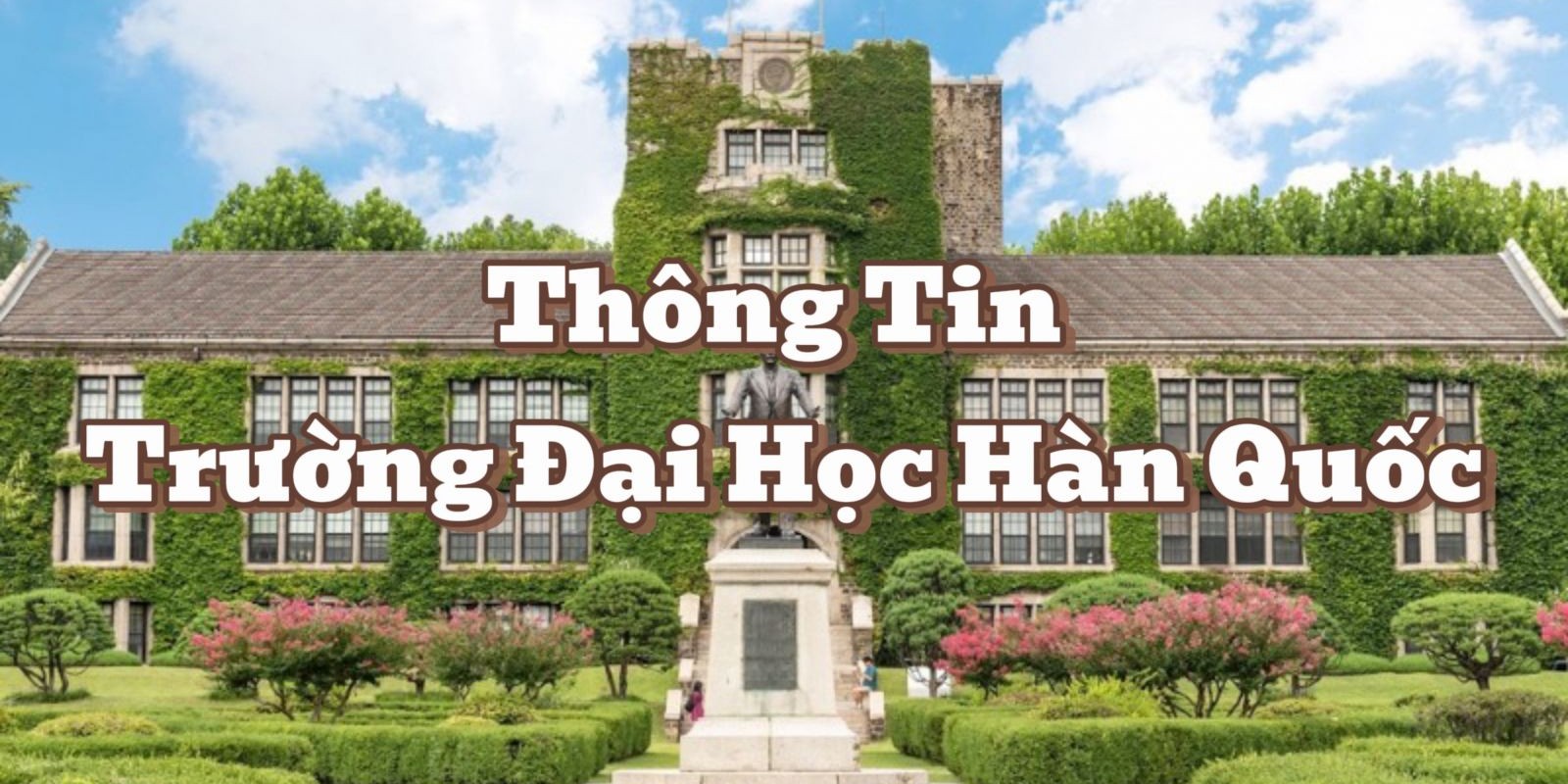 Thông Tin Trường Đại Học Hàn Quốc